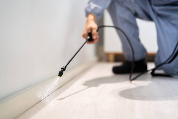 Licensed Rodent Control service in Camp County County, TX - Nex Pest Control